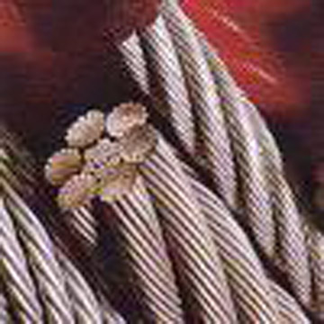  Wire Rope (Wire Rope)