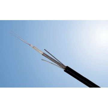  Fiber Optic Cable ( Fiber Optic Cable)
