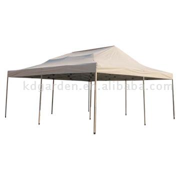  6 x 6 Big Tent ( 6 x 6 Big Tent)