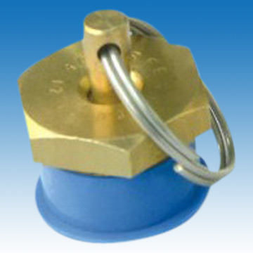  Drain Valve ( Drain Valve)