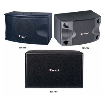  Karaoke Speaker (BM-450, BM-460, KA-386) (Karaoke Président (BM-450, BM-460, KA-386))