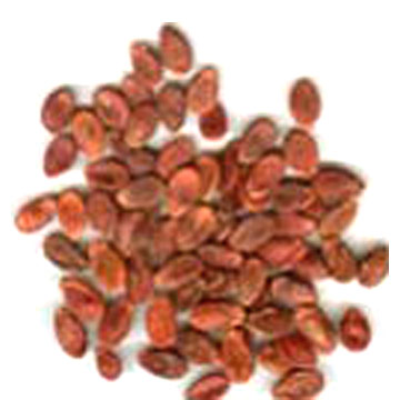  Red Watermelon Seeds (Red Watermelon Seeds)