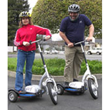  Electric Scooter ( Electric Scooter)