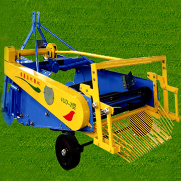 Potato Auger (Картофель Оже)