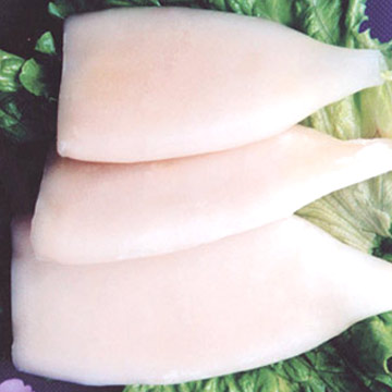  I.Q.F. Squid Tube (I.Q.F. Squid Tube)