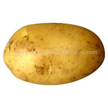  Potato (Pomme de terre)