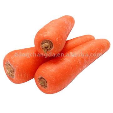  Carrot (Carotte)