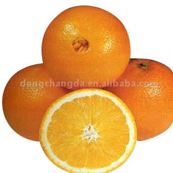  Navel Orange (Orange Navel)