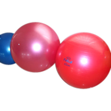  Gym Ball