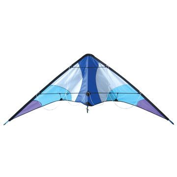  Dual Line Stunt Kite (Dual Line Stunt Kite)
