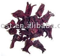  Hibiscus Roselle
