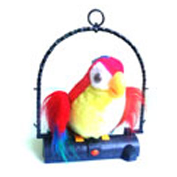  Record Parrot ( Record Parrot)