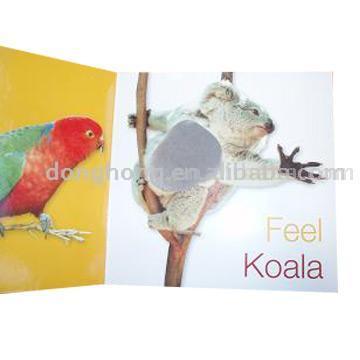  Touch & Feel Book ( Touch & Feel Book)