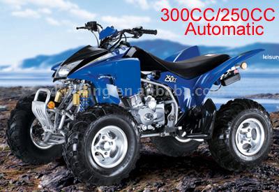  250CC, 300CC Sport ATV ( 250CC, 300CC Sport ATV)