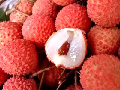  Lychee/Litchi (Личи / Личи)