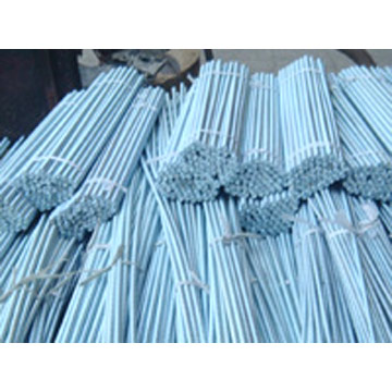  B7 Rod (B7 Rod)