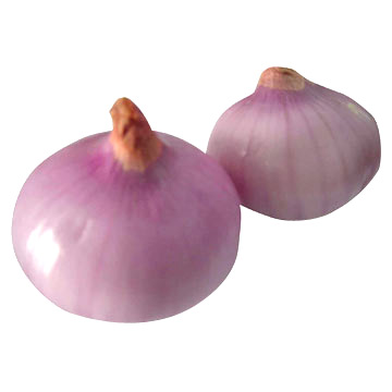  Onion (Oignon)