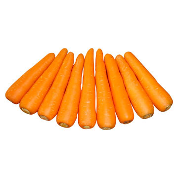  Fresh Carrot (Frische Karotten)