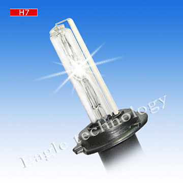  H7 HID Bulb