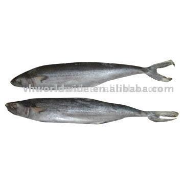  Spanish Mackerel (Испанской макрели)