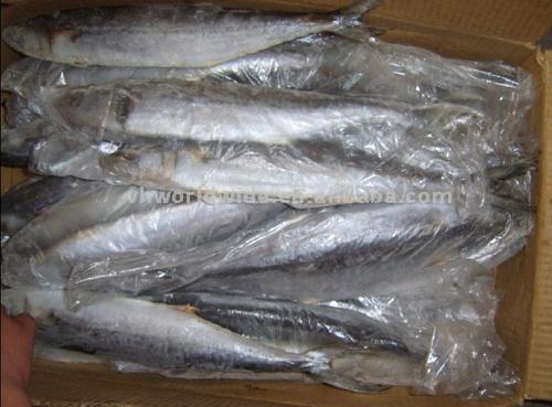  Frozen Mackerel (Замороженные Скумбрия)