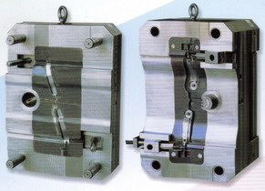 Mould ( Mould)