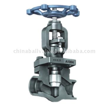  Globe Valve ( Globe Valve)
