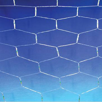  Net Light ( Net Light)
