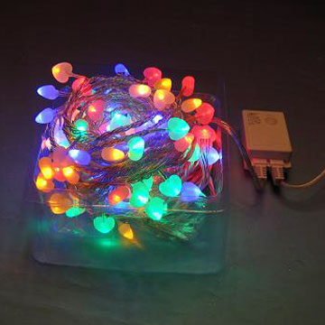  LED Light with Cover ( LED Light with Cover)