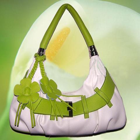  Gift Bag ( Gift Bag)