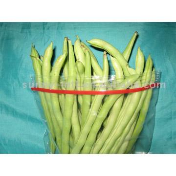  Zipper Seal Freezer Bag