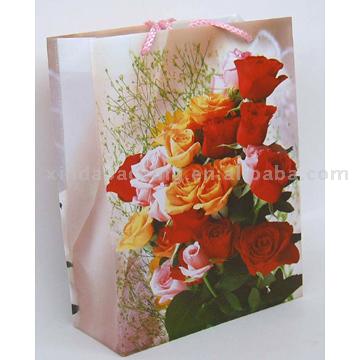  PP Shopping Bags ( PP Shopping Bags)