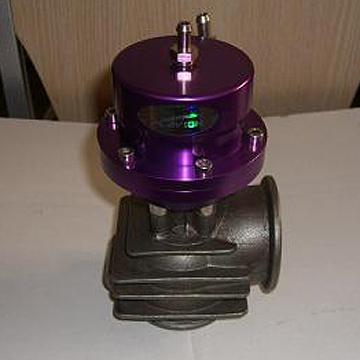  Wastegate ( Wastegate)