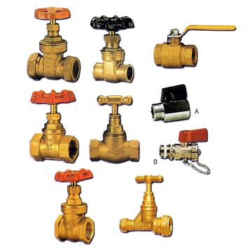 Valve ( Valve)