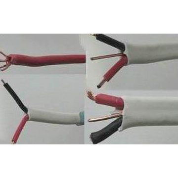 Electrical Wire (Electrical Wire)