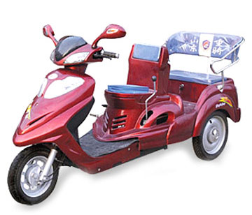  Tricycle (DZQ100ZK) (Tricycle (DZQ100ZK))