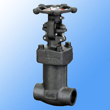  Forged Steel Bellows Sealed Valve