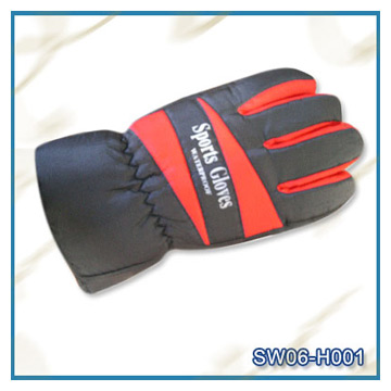  Ski Gloves ( Ski Gloves)