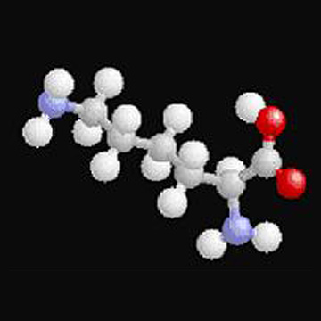  L-Lysine Hydrochloride