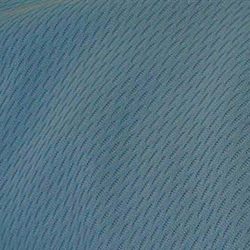  100% Polyester Mesh Fabric ( 100% Polyester Mesh Fabric)