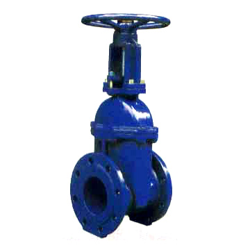  Gate Valve (Gate Valve)