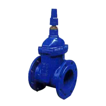 Gate Valve (Gate Valve)