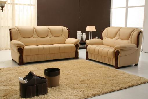  Leather Sofa ( Leather Sofa)