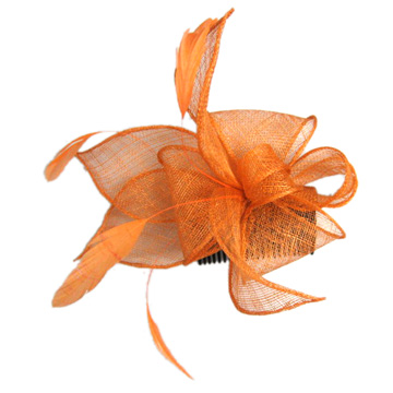  Hair Ornament ( Hair Ornament)