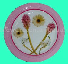  Paper Plate (Assiettes en carton)