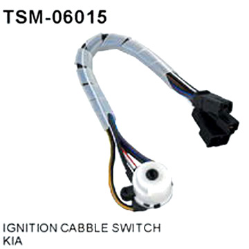 Zündkabel Switch (Zündkabel Switch)