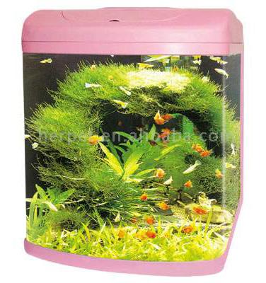  Aquarium Tank ( Aquarium Tank)