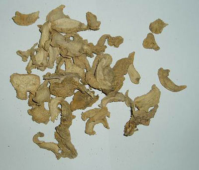  Ginger PE ( Ginger PE)
