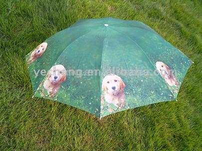  Folding Umbrella (Parapluie)