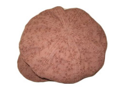  Hat ()